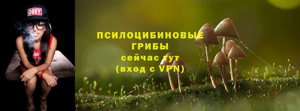 герыч Гусь-Хрустальный