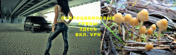 герыч Гусь-Хрустальный