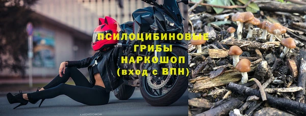 PSILOCYBIN Нязепетровск